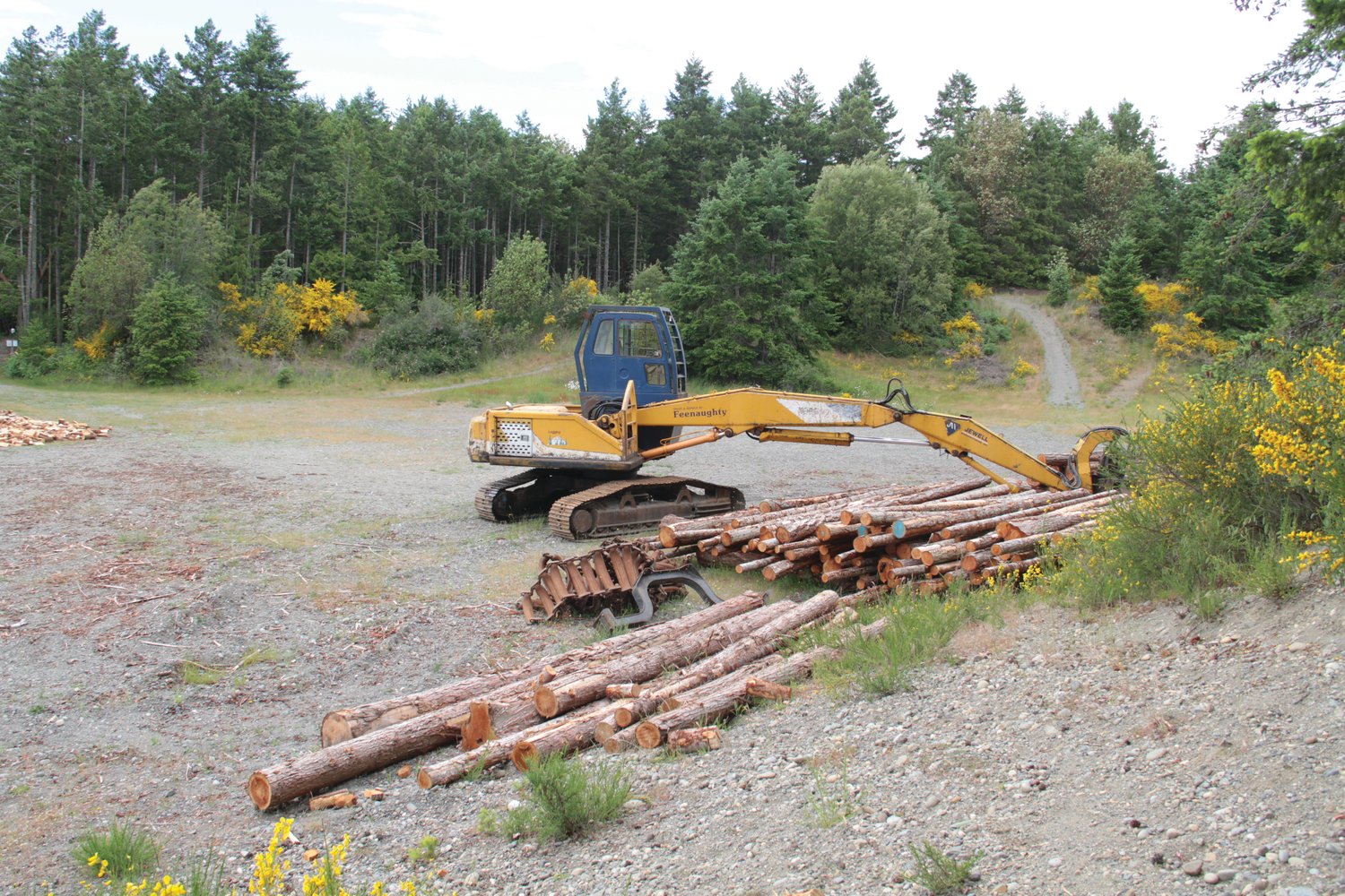 Fallen timber and logging equipment sit on the proposed location for a Cape George homeless encampment.